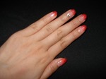 DSC01891.jpg