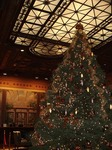 DSC04393.jpg